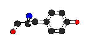 backbone and sidechain example