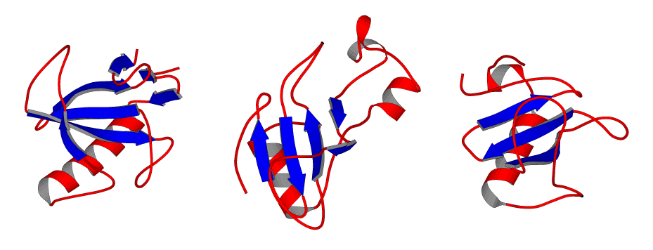 Microbial RNase Comparison