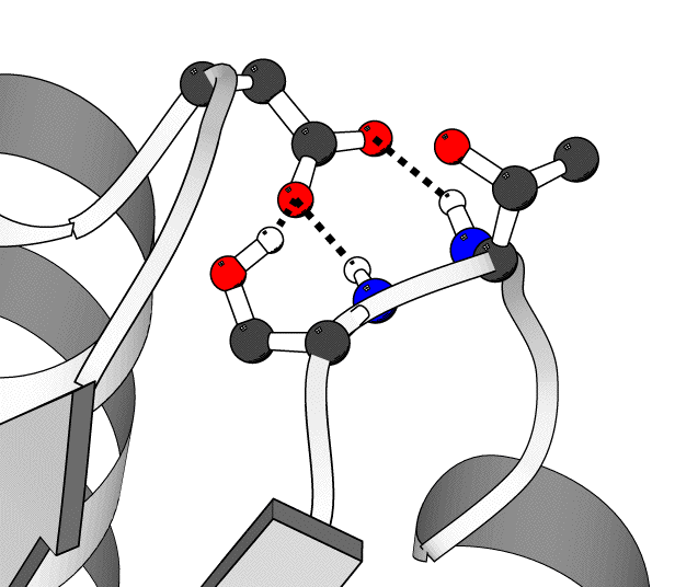 hydrogen bonding example